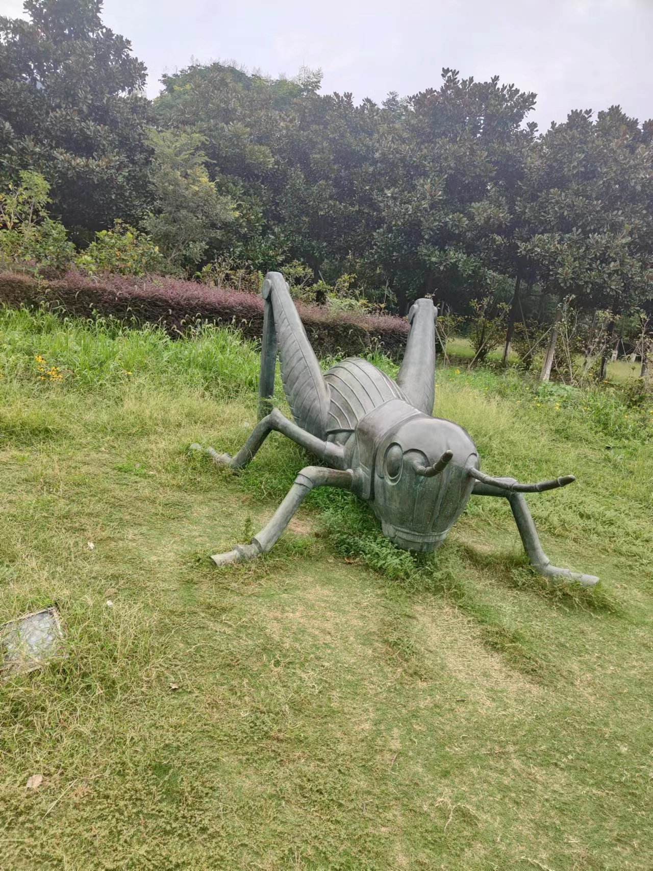 苏州铸铜雕塑 园林动物铜雕塑  昆虫蚱蜢雕塑 定制